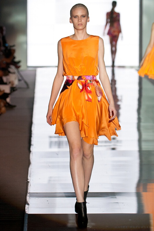 Paprocki & Brzozowski 39