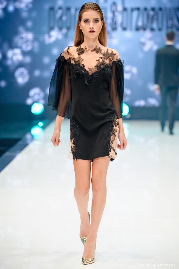 Paprocki & Brzozowski & Pawo 5