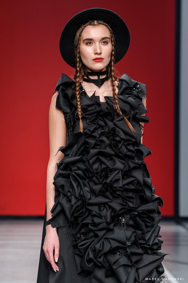 Diana Paukštytė - Poetė 46